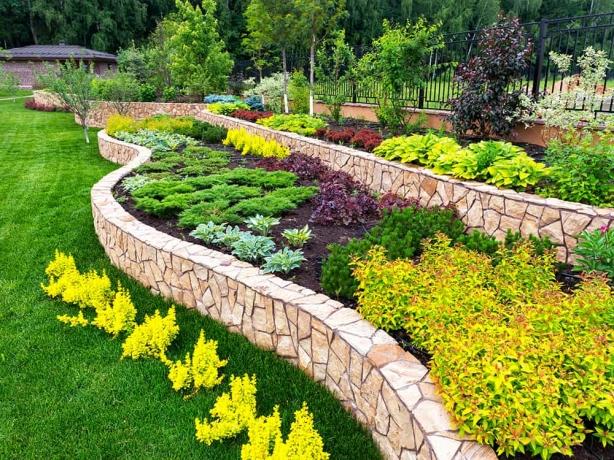 How Much Does Lawn Care Cost in Nashville, TN? A Comprehensive Guide for 2025