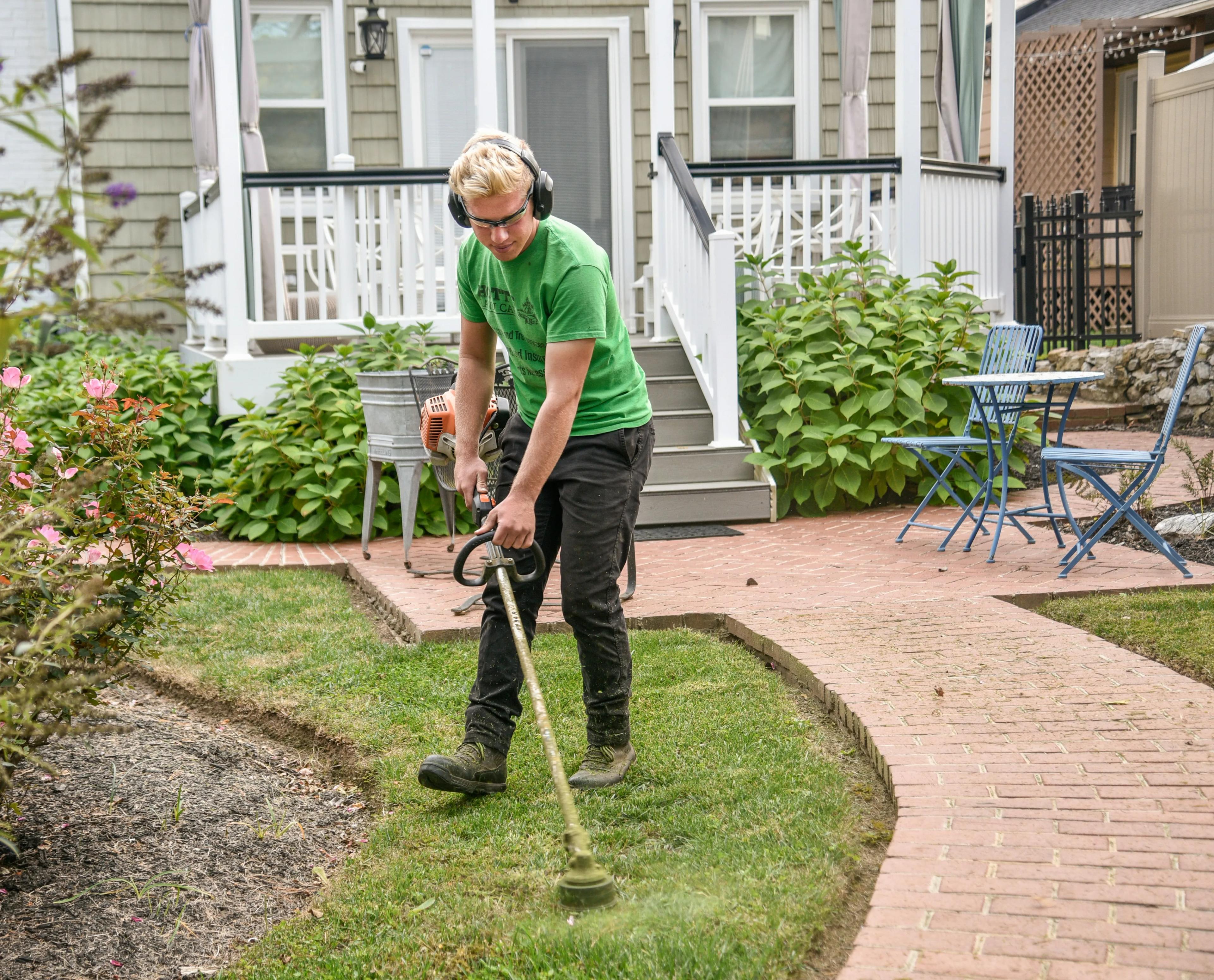 What Is the Most Expensive Part of Landscaping? Landscape Project Cost Breakdown
